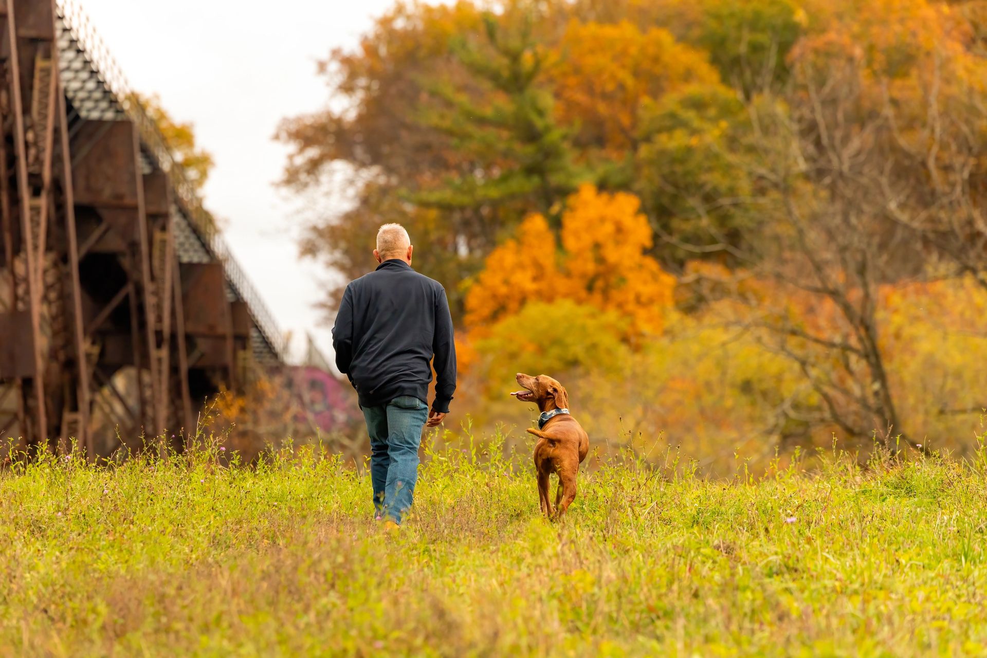 Autumn pet portrait with fall foliage
